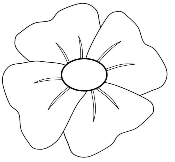 Artic poppy drawing easy and simple