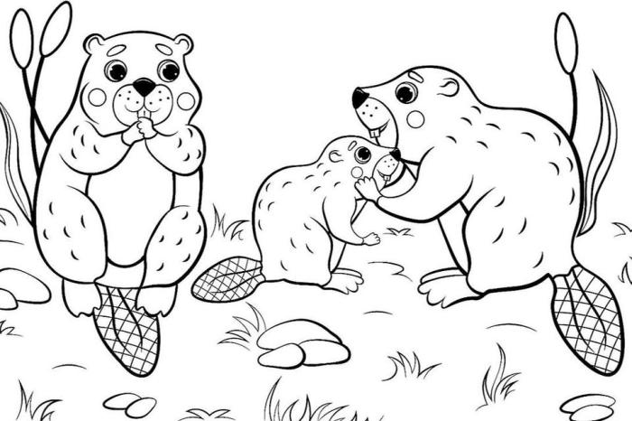 Free coloring pages of animals printable