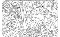 Amazon rainforest animals coloring sheets