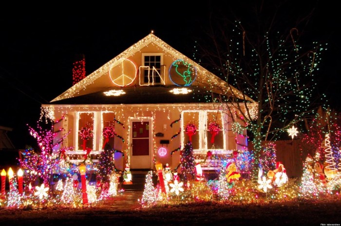 Christmas light up decor