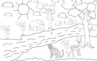 Forest animal coloring sheet