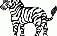 Coloring zebra safari animal