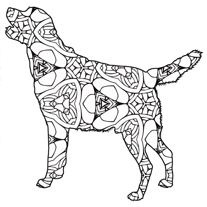 Geometric animal coloring pages