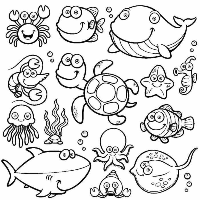 Cute baby sea animals coloring pages