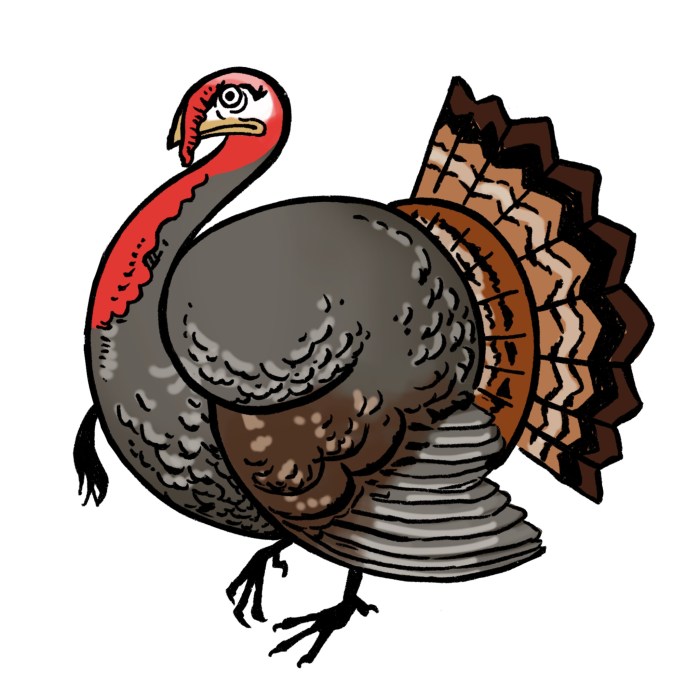 Dead turkey drawing easy