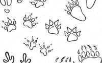 Coloring pictures of animal tracks