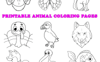 Childrens coloring book page printable animal