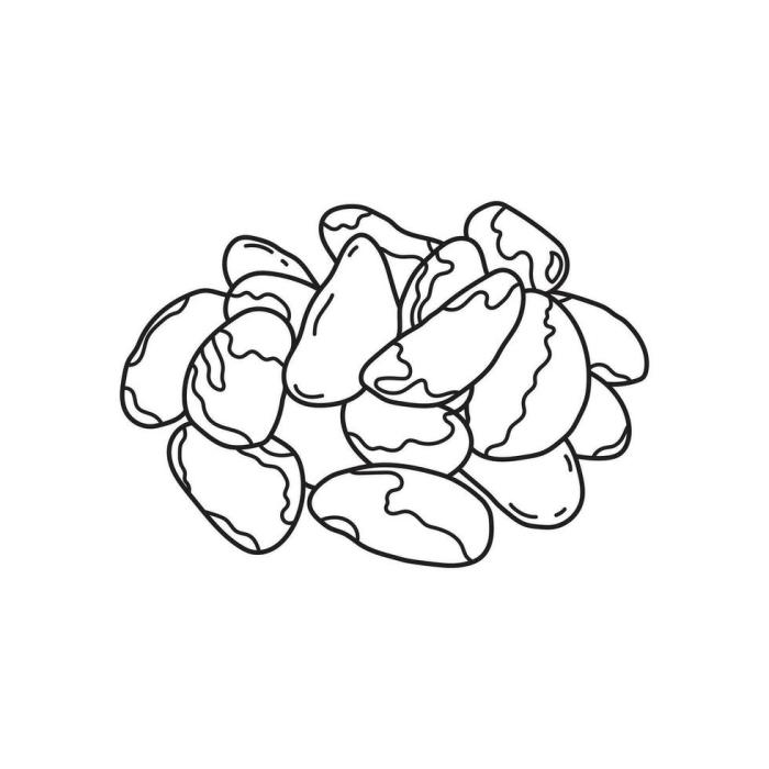 Brazil nuts drawing really easy