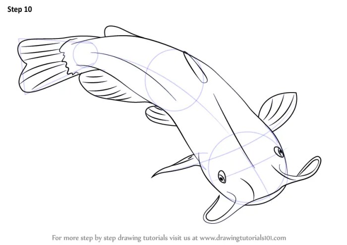 A easy stitch drawing with a catfish