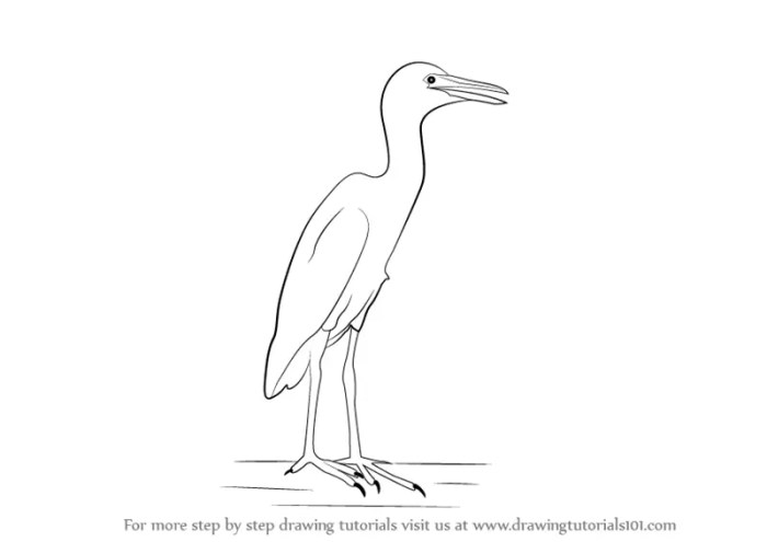 Easy cattle egret drawing