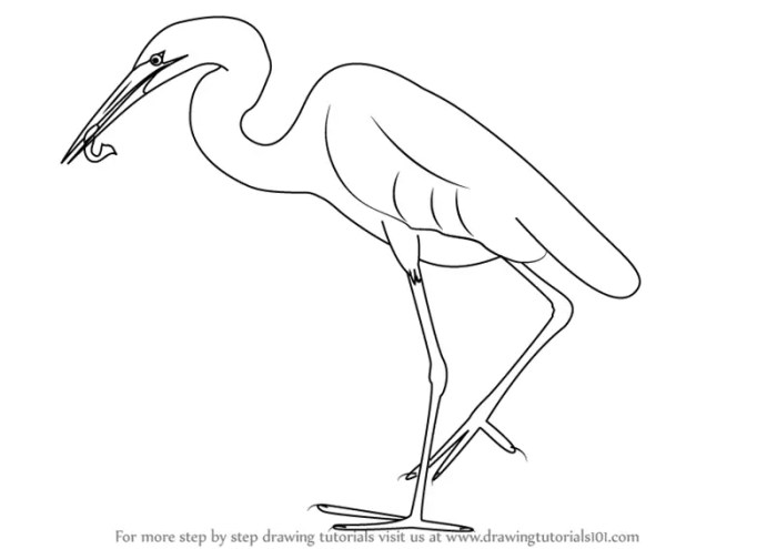 Easy cattle egret drawing