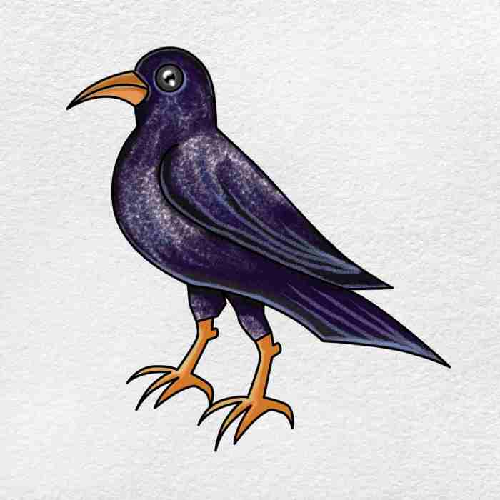 A easy drawing of crows