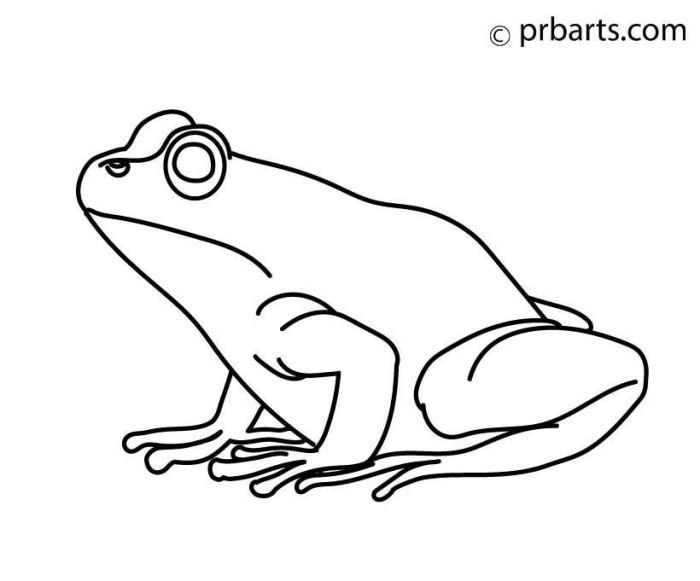 Kingfrog easy and simple drawing