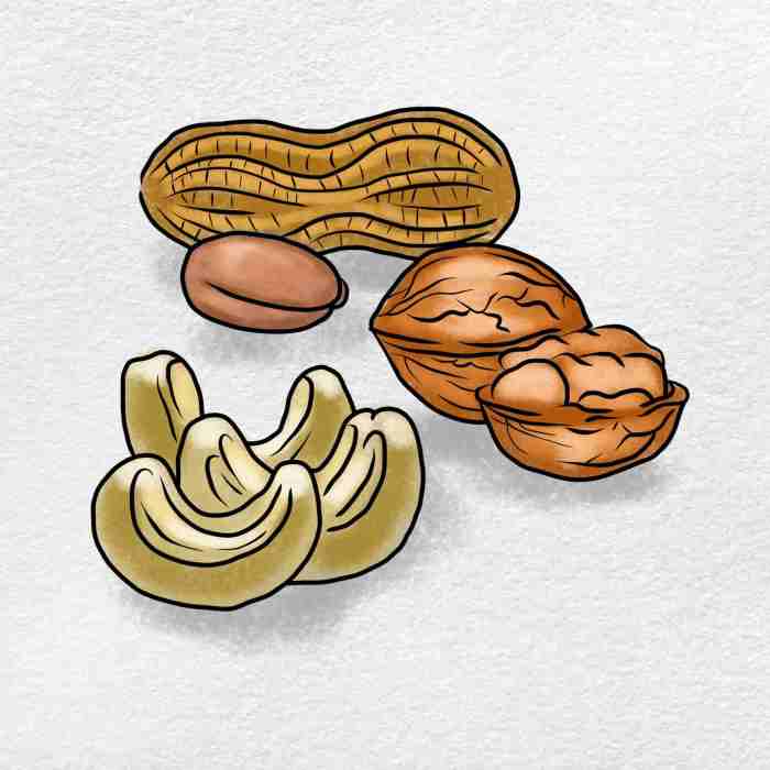 Brazil nuts drawing really easy