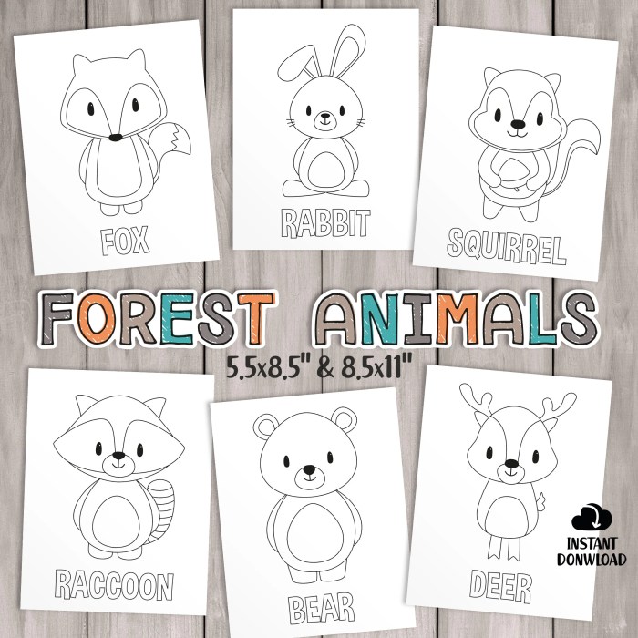 Woodland animal coloring pages