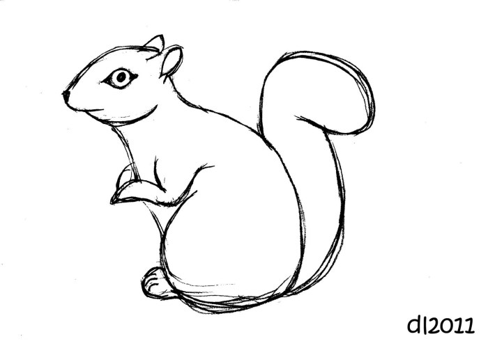 Drawing of a flying squirrel easy