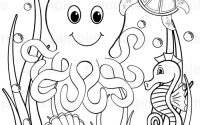 Cute baby sea animals coloring pages