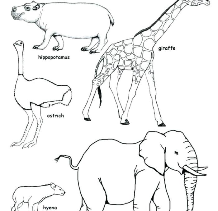 Savanna animals coloring pages