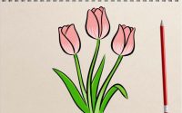 Inside tulip drawing easy