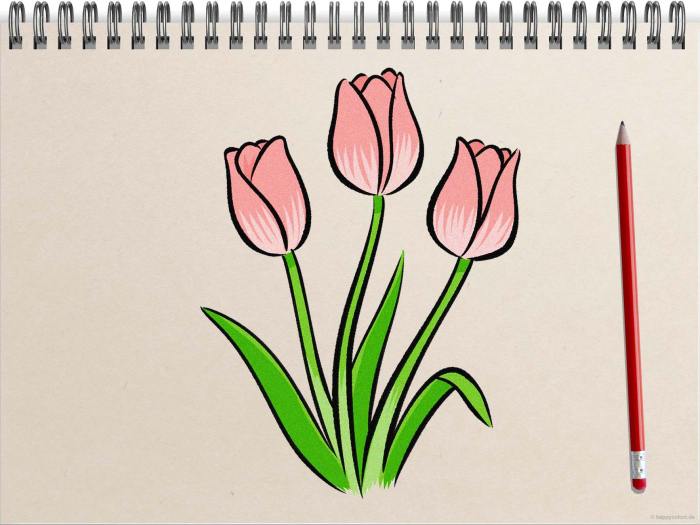 Inside tulip drawing easy